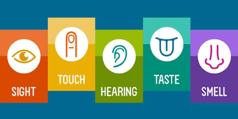 5-senses-cards