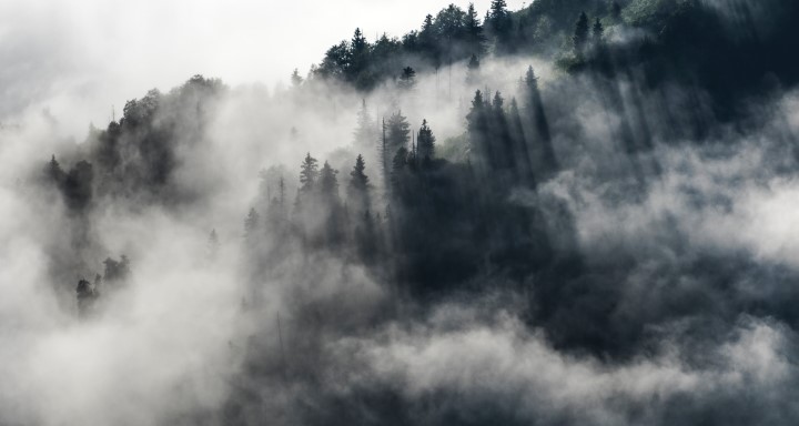 artvin