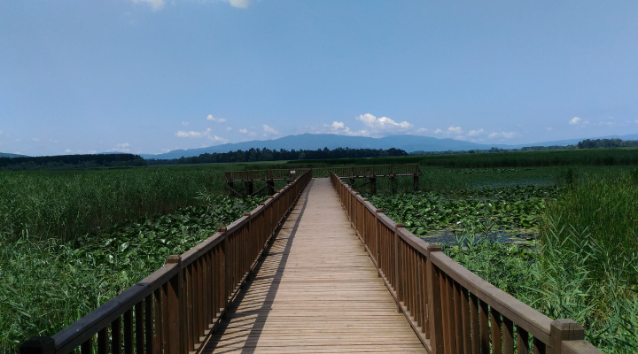 düzce tanıtım, düzce tarihi kısa, düzce gezilecek yerler