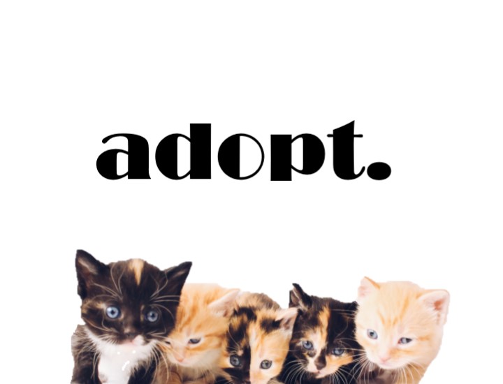Adopt İkinci ve Üçüncü Hali