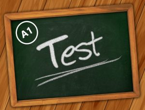 A1 Seviye İngilizce Test Soruları ve Cevap Anahtarı
