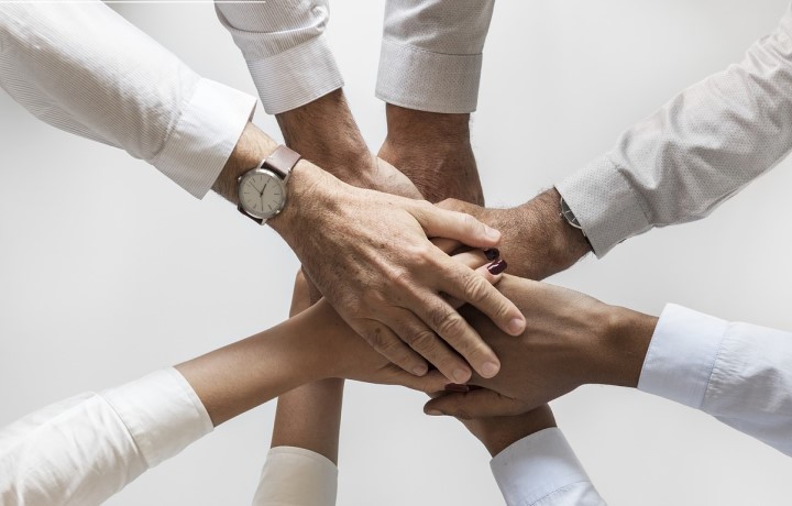 contribute ikinci ve üçüncü hali