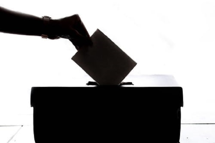 Vote Fiili Kullanımı, Örnek Cümleler
