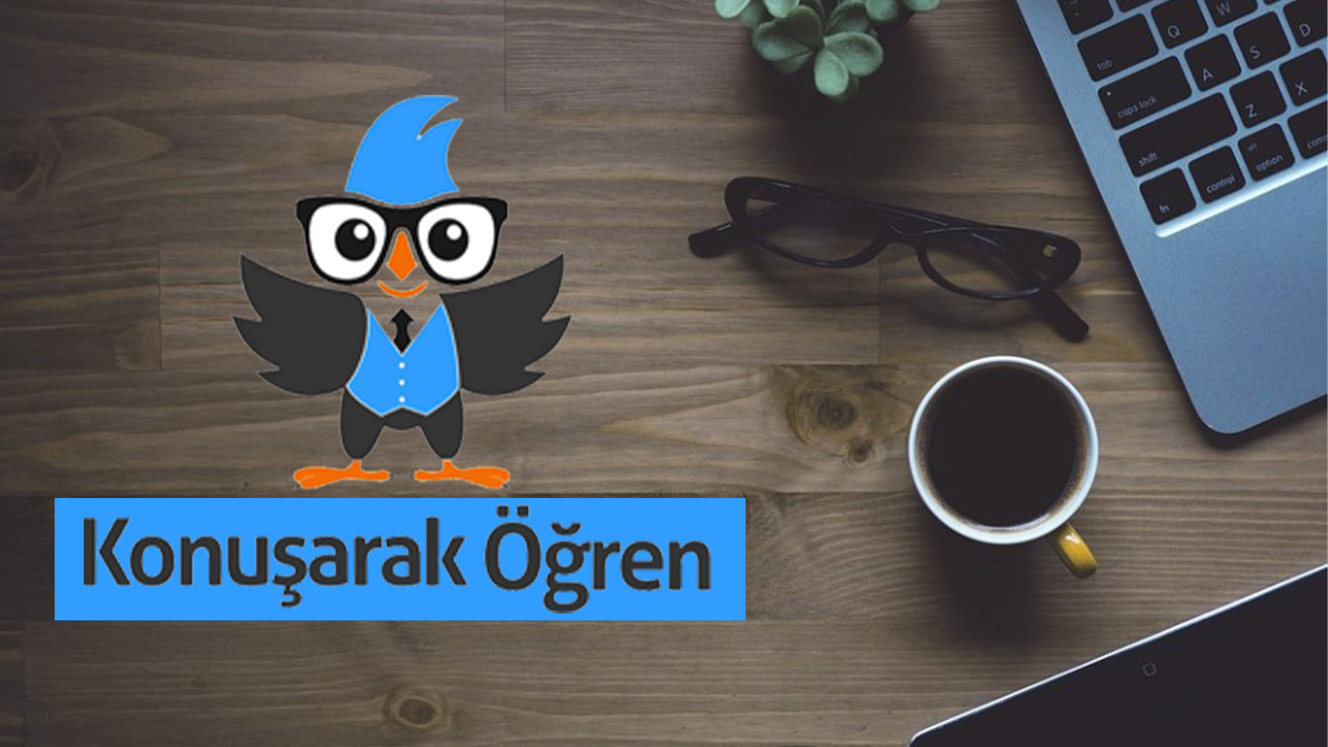 En Güvenilir Online İngilizce Kursu Konuşarak Öğren