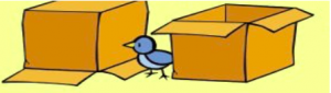 bird